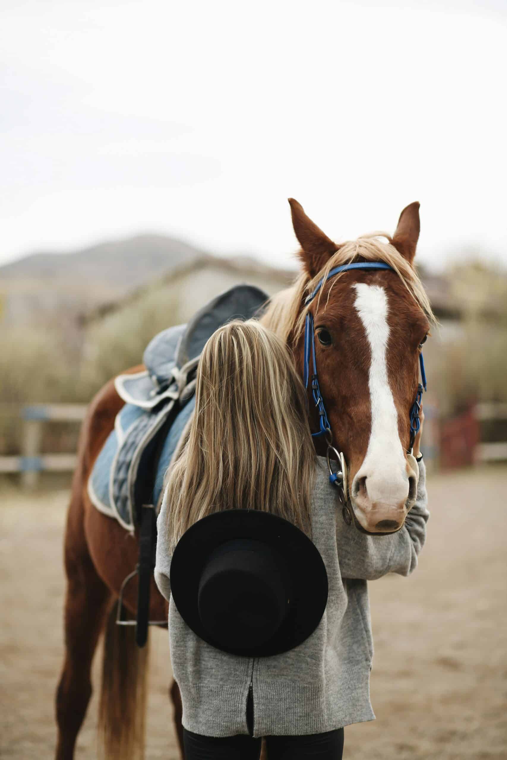 Recover with the Power of Equine Therapy