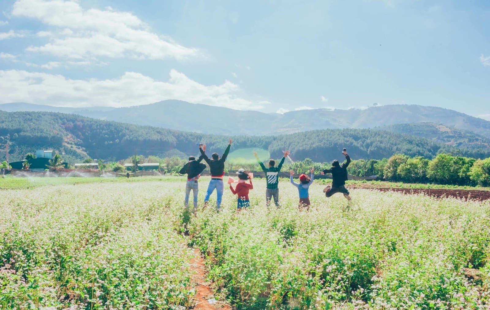 Group Therapy for Addiction Recovery